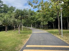 -深圳湾公园(南山区)