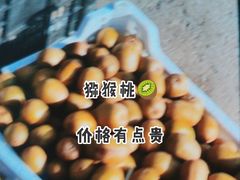 -韩家墅海吉星农产品批发市场