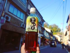 -城崎温泉 外七汤