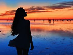 -南汇嘴观海公园