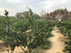 -张公山寨景区