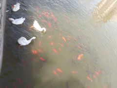 -迎泽公园