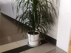 -威海大水泊国际机场