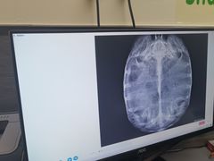 -爱侣宠医·鹦鹉专科·小型哺乳类·异宠专科(灵石路店)