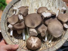 -要德火锅(鼓楼店)