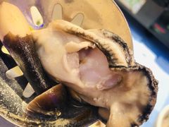 -千岛蚝高压锅生蚝·人参火锅(白云万达店)