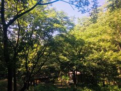 -老君洞旅游度假区