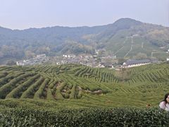 -东航云逸酒店(九溪烟树店)