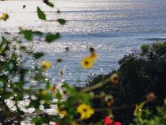 -UME影城(西城广场店)