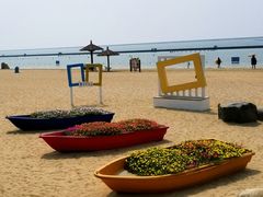 -碧海金沙