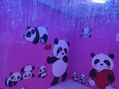 -339旋转餐厅(天府熊猫塔店)