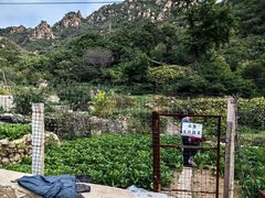 -大岭沟猕猴桃谷风景区