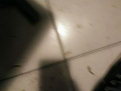 -哈尔滨北方森林动物园
