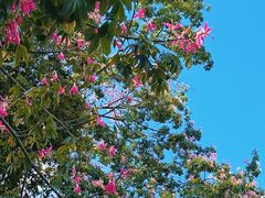 -南美元生态大酒店(海珠店)