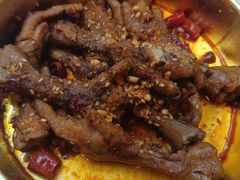 -降龙爪爪(建设路1店)