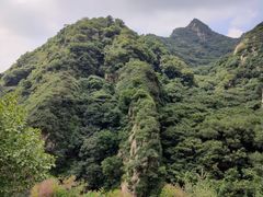 -大岭沟猕猴桃谷风景区