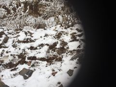 -太子岭滑雪场