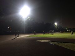 -浙江越秀外国语学院