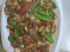 -煲来饱去冷水鱼