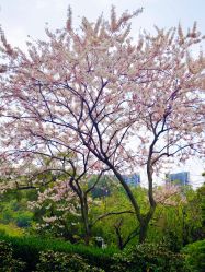 -番禺儿童公园