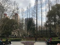 -徐家汇源景区-衡山公园
