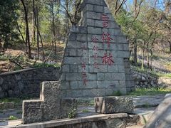 -高尔山公园