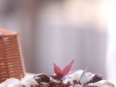 -Dark Horse·黑马蛋糕·低脂·低糖淡奶(金匙望湖大厦店)