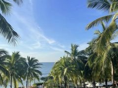 -日落吧·海景咖啡厅·餐酒吧·鸡尾酒·下午茶·乐队表演·浪漫夕阳·三亚文华东方酒店