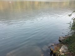 -紫霞湖公园