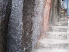 -金鸡山公园