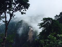 -塔云山
