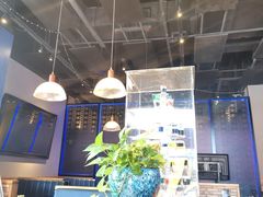 -blue frog蓝蛙(长泰广场店)