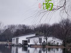 -上海共青森林公园