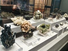 -湖南省地质博物馆