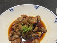 -同庆楼(奥体中心店)