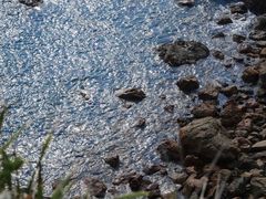 -西涌国际滨海旅游区