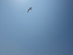 -星海广场