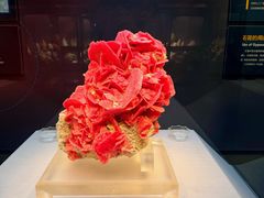 -湖南省地质博物馆