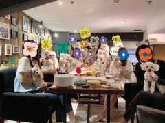 -百好乐宠物友好餐厅(朝外大街店)