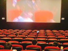 -大地影院(上海南汇店)