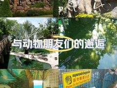 -是拉差龙虎园(Permanently closed)