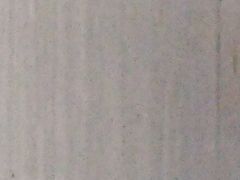 -西湖外事游船(花港观鱼码头)