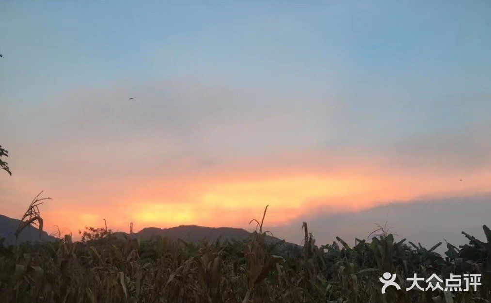 打卡全清远唯一一个沙滩 | 伦洲岛详细攻略