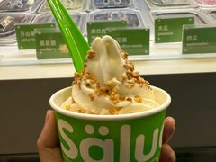 -Salud撒露欧洲冻酸奶(蓝色港湾店)