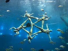 -瑞德姆美人鱼海底演艺主题餐厅(亚龙湾店)