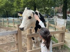 -神户市立六甲山牧场