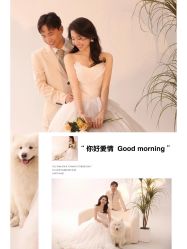 -莫兰迪婚纱摄影