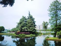 -金银湖国家城市湿地公园