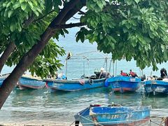 -三亚西岛海洋文化旅游区