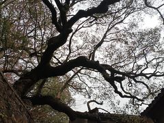 -普陀山风景名胜区-法雨禅寺